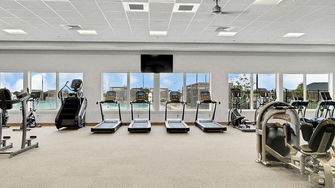 *Images and 3D tour are for illustration only and options may vary from home as built.