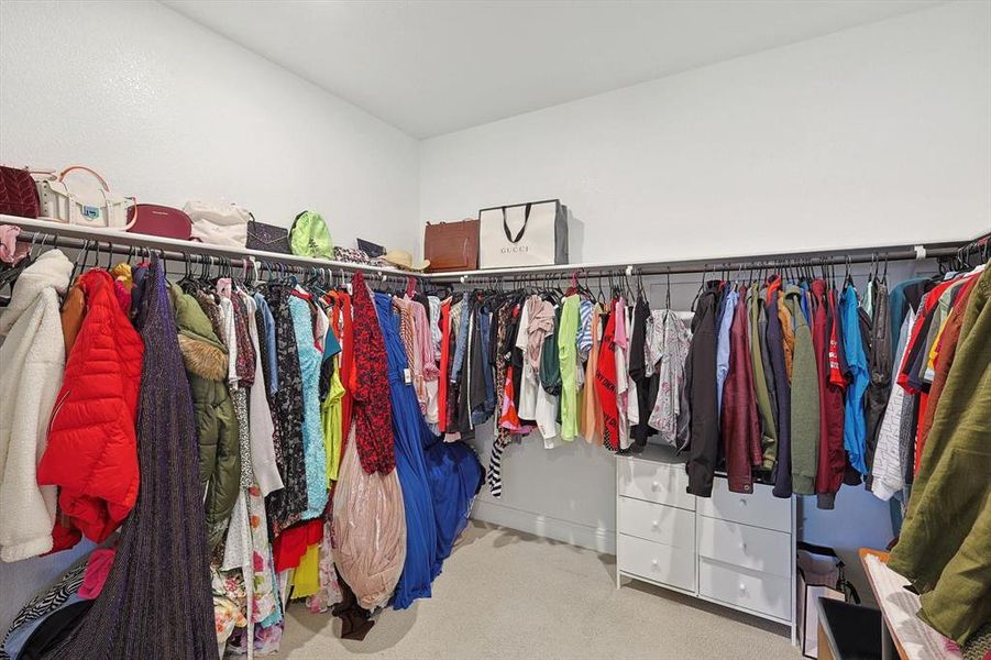 Spacious closet with carpet