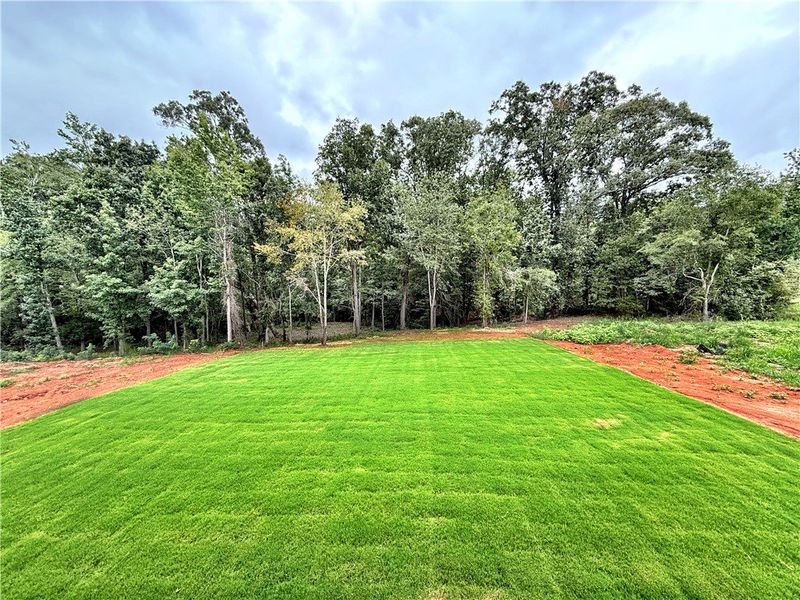 Natural landscape and outdoor views near Walker's Pointe in Anderson (Image 22).