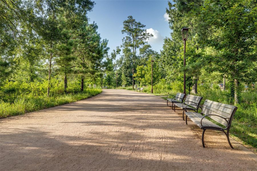 Memorial Park in Houston is a 1,500-acre urban park offering walking and running trails, picnic areas, a golf course, and the Clay Family Eastern Glades for relaxation. It is one of the largest municipal parks in the U.S., located near downtown, and features abundant green spaces and a variety of wildlife. While general access is free, certain facilities like the golf course and swimming pool have separate fees.