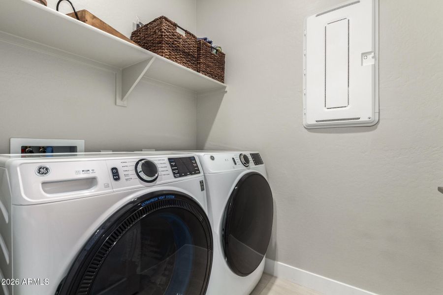 26-Wollemi 26-Wollemi