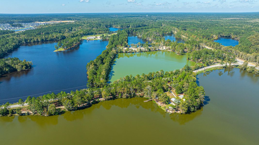 Natural landscape and outdoor views near  in Summerville (Image 25).