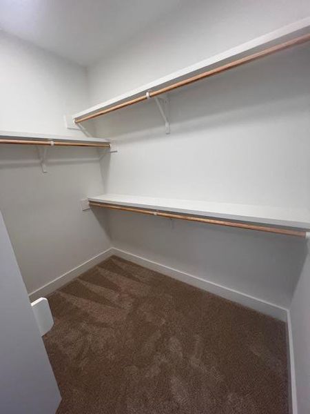 Walk in closet with dark carpet