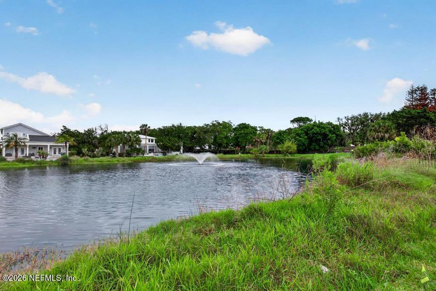 Natural landscape and outdoor views near  in St. Johns (Image 96).