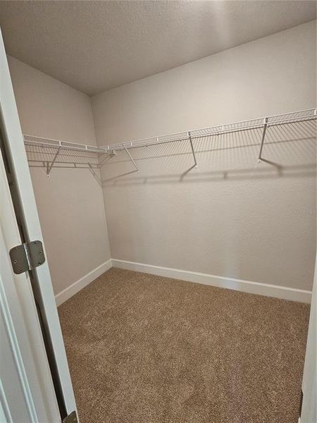 Spacious, unfurnished interior of a new home in Venice, Venice (Image 7).