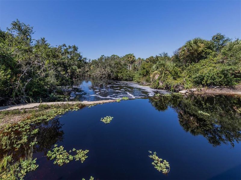 Natural landscape and outdoor views near  in North Port (Image 43).