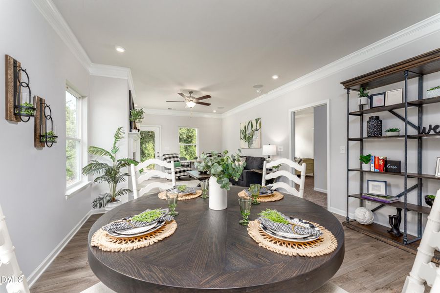 Representational Photo