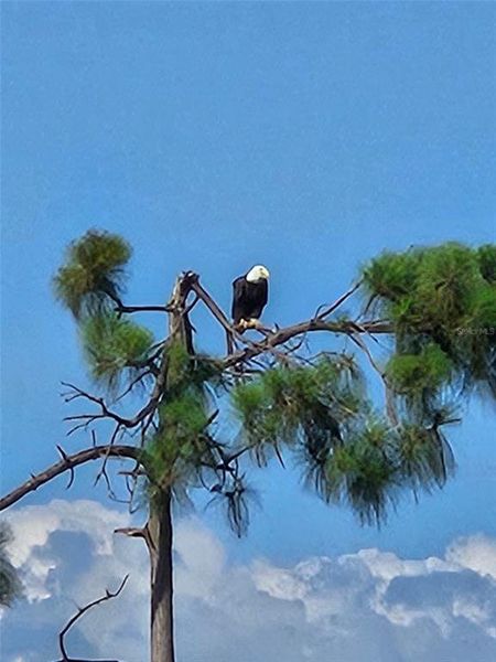 Image 46 of a home in .