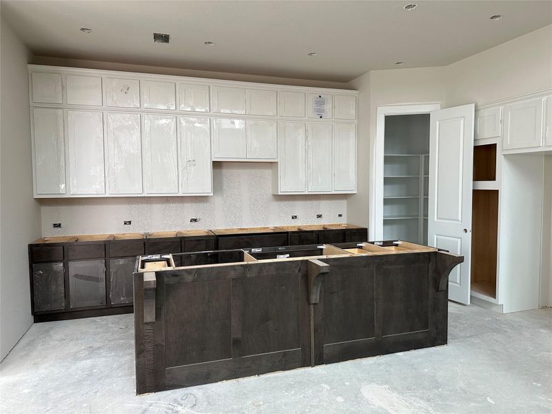 Kitchen cabinets are in. Almost ready!