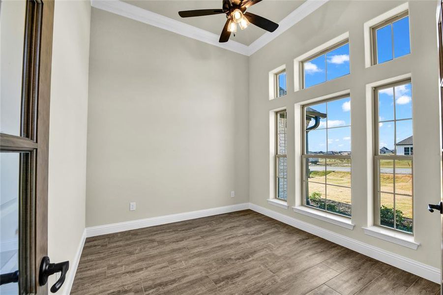 Unfurnished room with ceiling fan, crown molding, and hardwood / wood-style floors