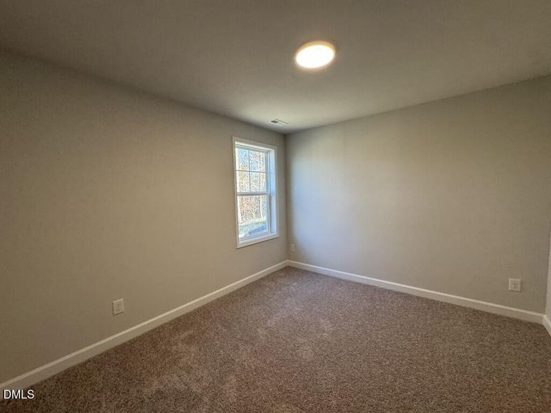 Photo Nov 16 2025, 3 42 53 PM (Medium)