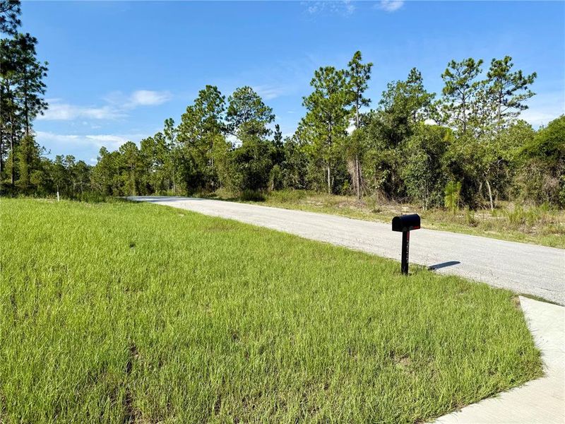Natural landscape and outdoor views near in Dunnellon (Image 16). Natural landscape and outdoor views near in Dunnellon (Image 16).