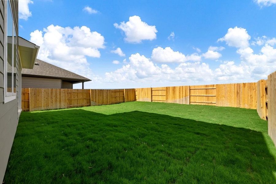 Backyard