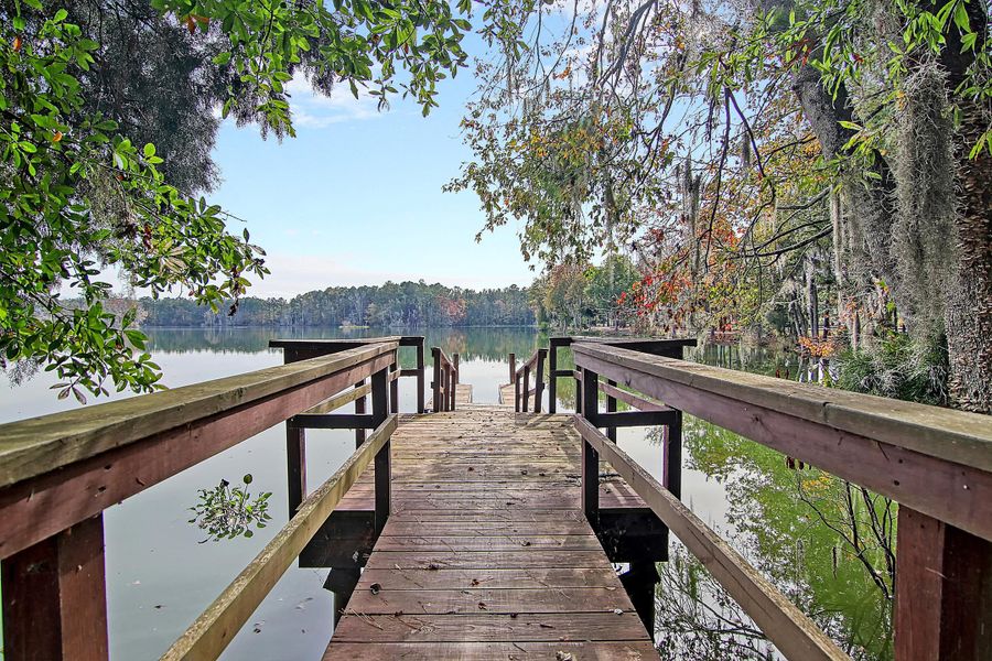 Natural landscape and outdoor views near Heron's Walk at Summers Corner in Summerville (Image 63).
