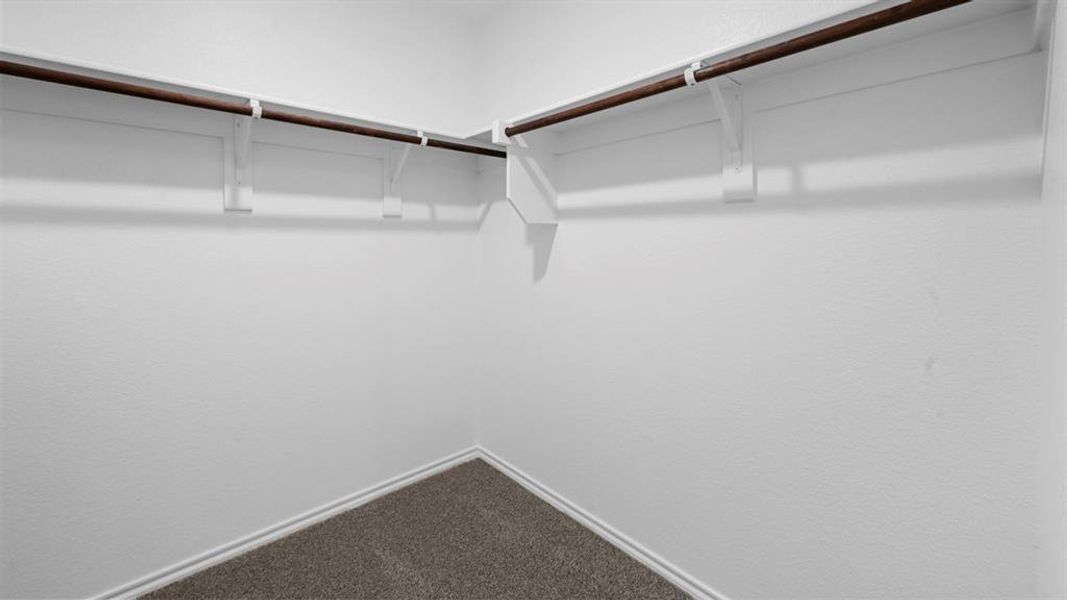 Spacious closet with carpet floors Spacious closet with carpet floors