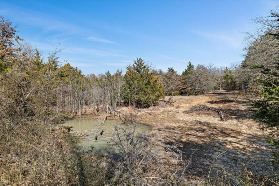 Natural landscape and outdoor views near in Forestburg (Image 33). Natural landscape and outdoor views near in Forestburg (Image 33).