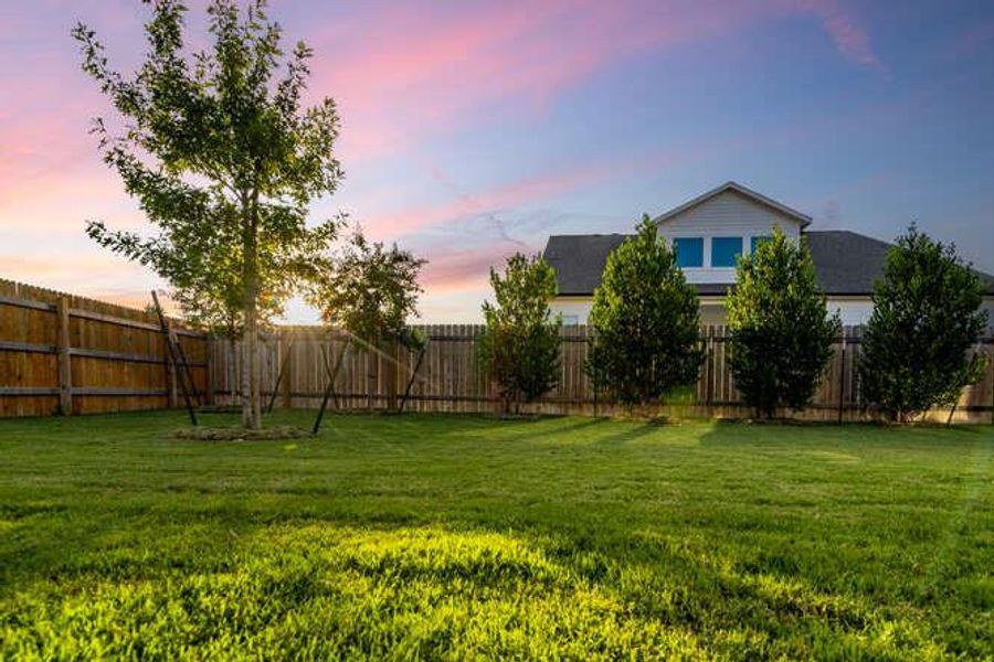 View of fenced backyard