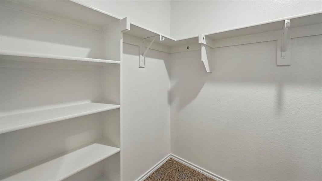 Walk in closet featuring carpet flooring