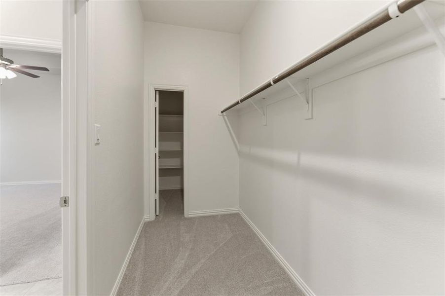Walk-in closet featuring carpet flooring, crisp white walls, and a built-in hanging rod with shelving