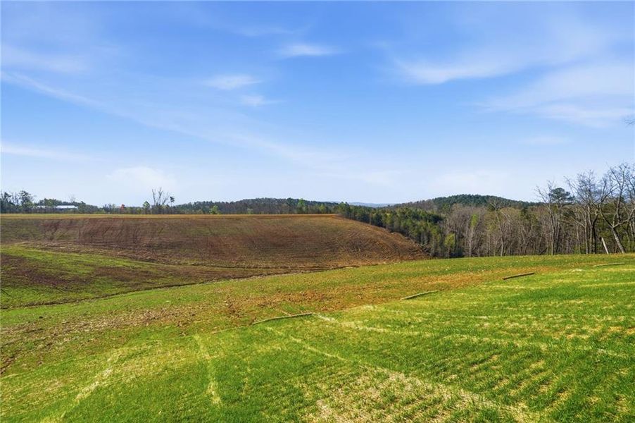 Natural landscape and outdoor views near  in Ellijay (Image 22).