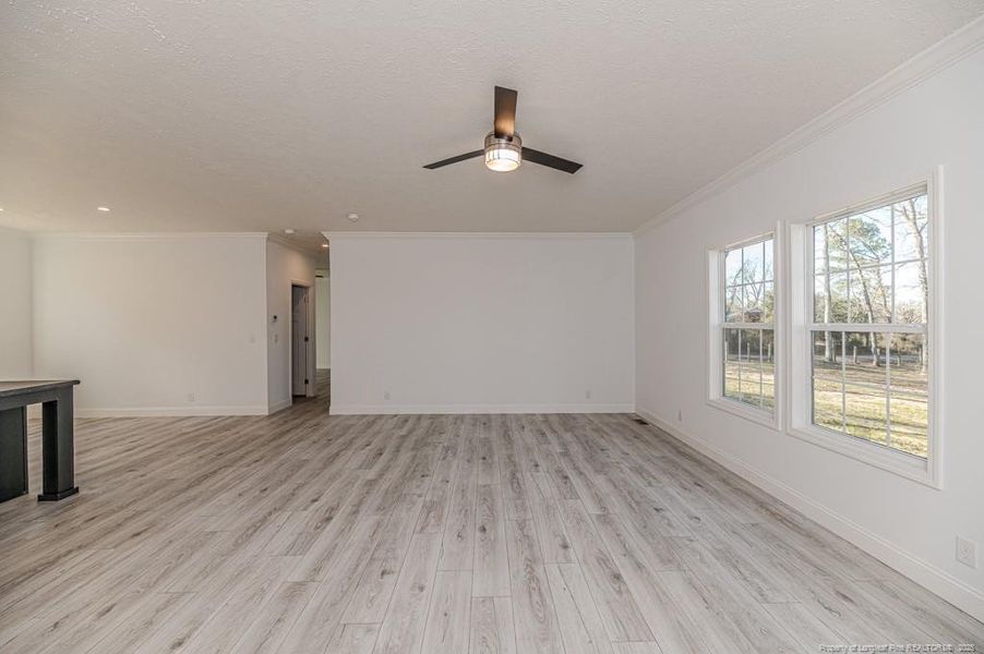 Living Room Living Room