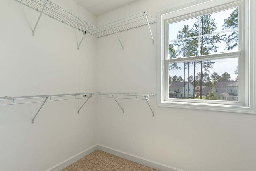 Representative unfurnished interior of a home built from the Brunswick by Caviness & Cates Communities in Maggie Way, Wendell (Image 94). Representative unfurnished interior of a home built from the Brunswick by Caviness & Cates Communities in Maggie Way, Wendell (Image 94).