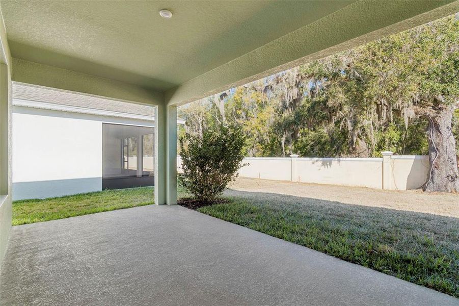 Exterior details and patio area of a home in Cascades at Southern Hills, Brooksville (Image 26).