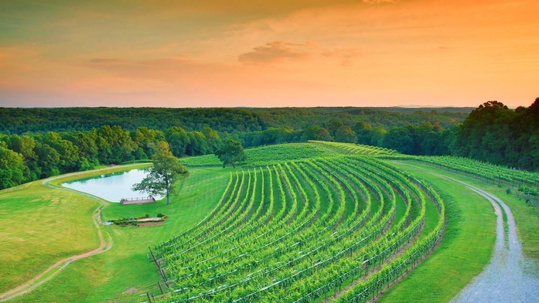 Natural landscape and outdoor views near Mountain Park in Dahlonega (Image 35).