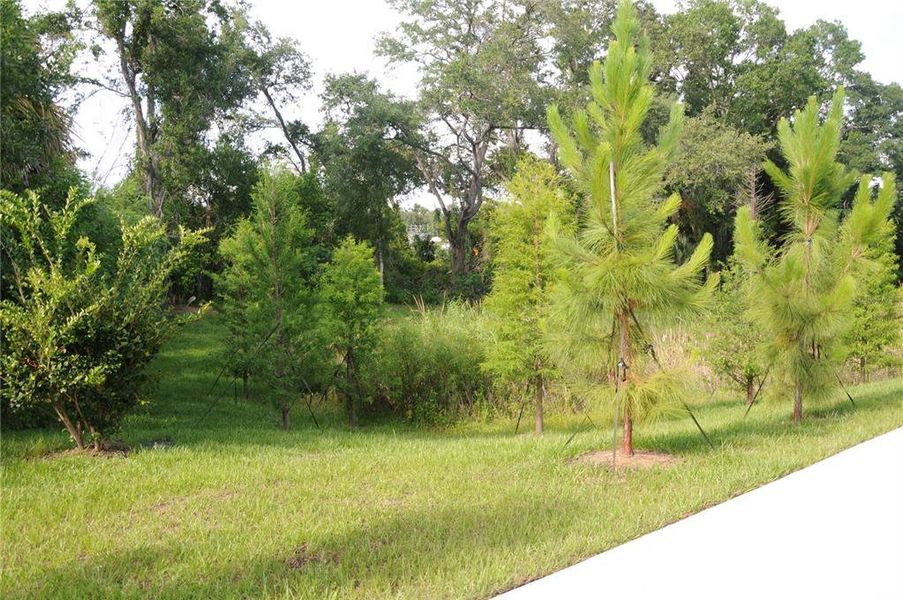 Natural landscape and outdoor views near  in Tampa (Image 31).