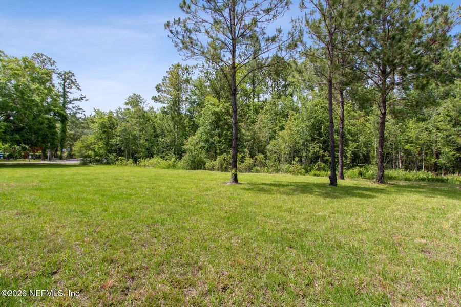 Natural landscape and outdoor views near in Jacksonville (Image 31). Natural landscape and outdoor views near in Jacksonville (Image 31).