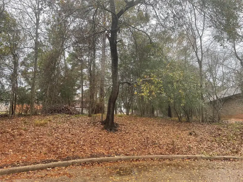 Image 4 of a home in Lake Conroe Area Homes.