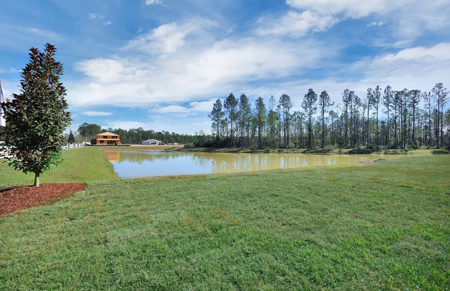 Outdoor and nature views near homes built from the Cresswind by Pulte Homes in Hyland Trail, Green Cove Springs (Image 26).
