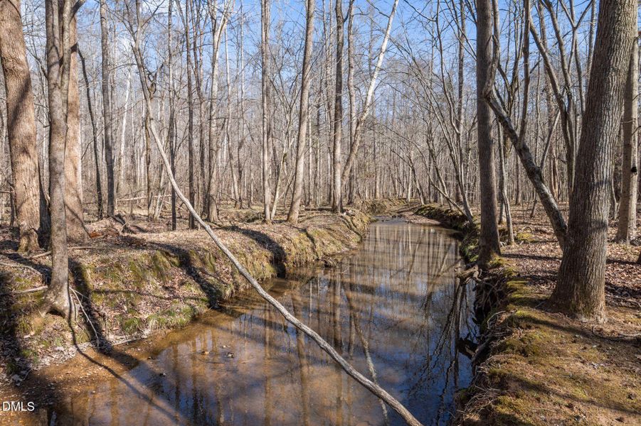 57-web-or-mls-P1112046