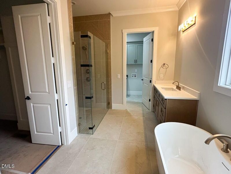 Photo Jan 03 2026, 9 32 27 AM (Medium)