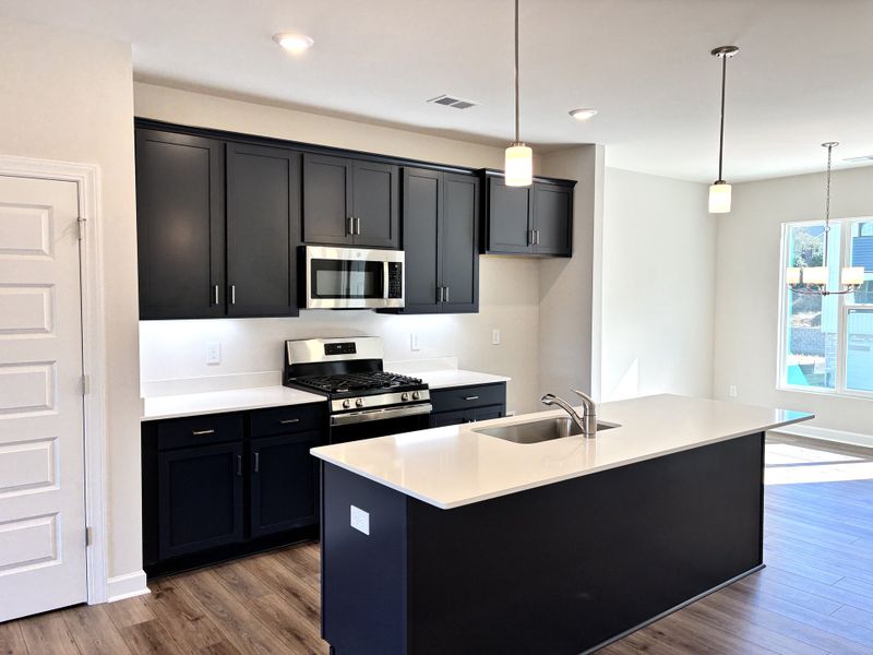 Furnished interior view inside a new home in Holly View, Greenville (Image 7). Furnished interior view inside a new home in Holly View, Greenville (Image 7).