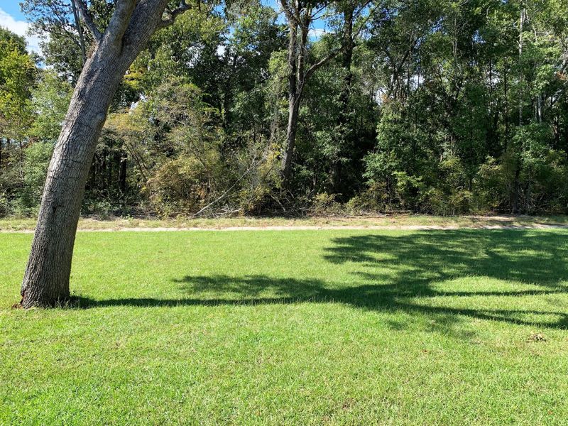Natural landscape and outdoor views near Sentinel Ridge in Pace (Image 9).