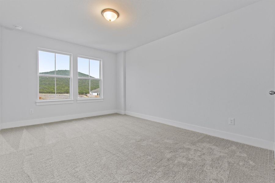 Empty room featuring a mountain view and carpet floors