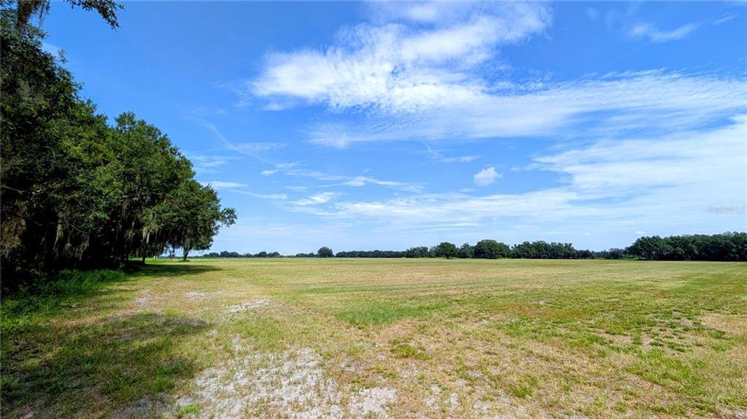 Natural landscape and outdoor views near  in Wauchula (Image 37).