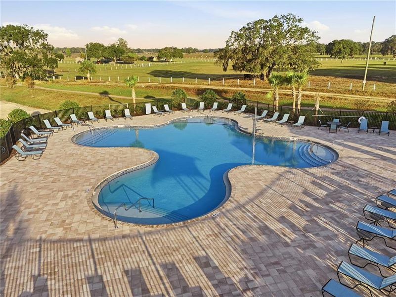 Community amenities in The Grove at Crosswinds, Haines City (Image 25).