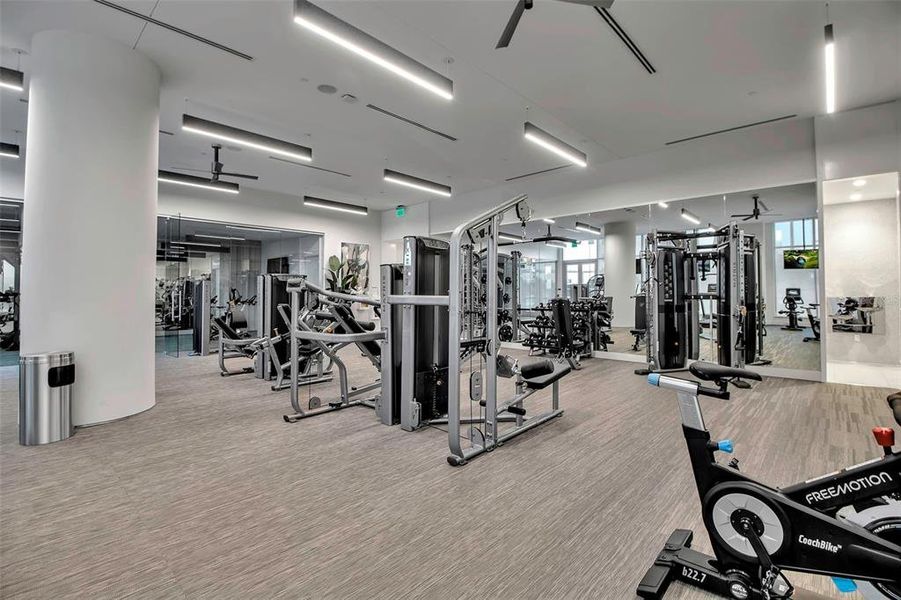 Community amenities in , Sarasota (Image 40). Community amenities in , Sarasota (Image 40).