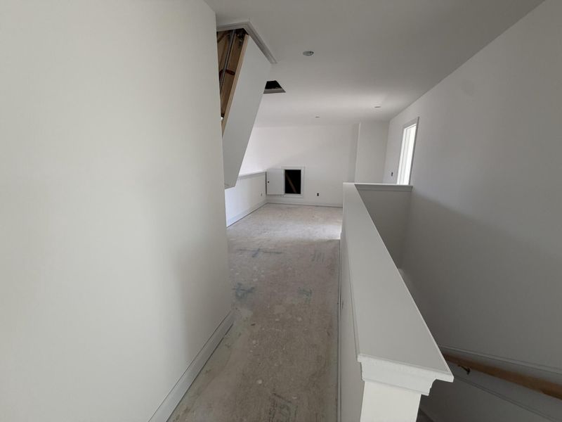 In-progress construction of a new home in Black Forest Pointe, Benson, NC (Image 17).