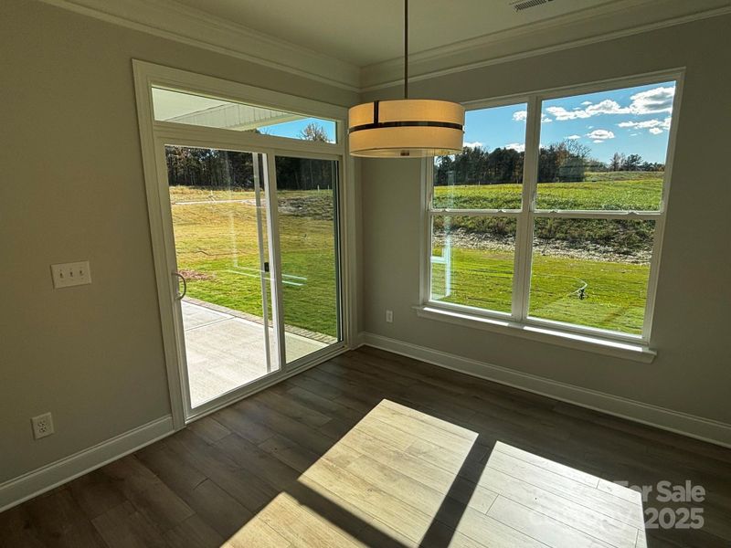 Spacious, unfurnished interior of a new home in Waterford Commons, Rock Hill (Image 15).