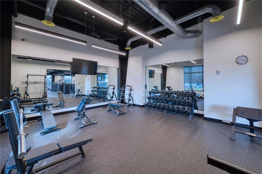 Community amenities in , Sarasota (Image 38). Community amenities in , Sarasota (Image 38).