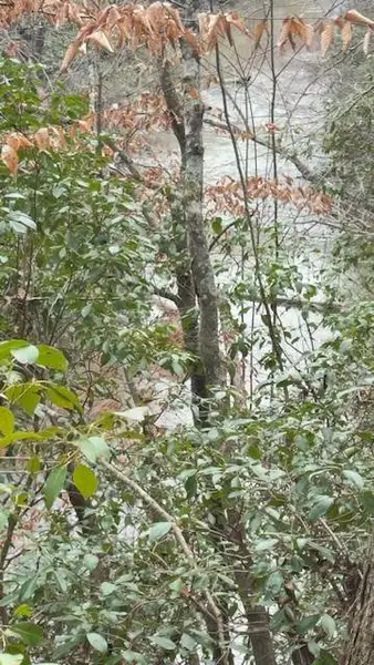 Natural landscape and outdoor views near  in Douglasville (Image 3).