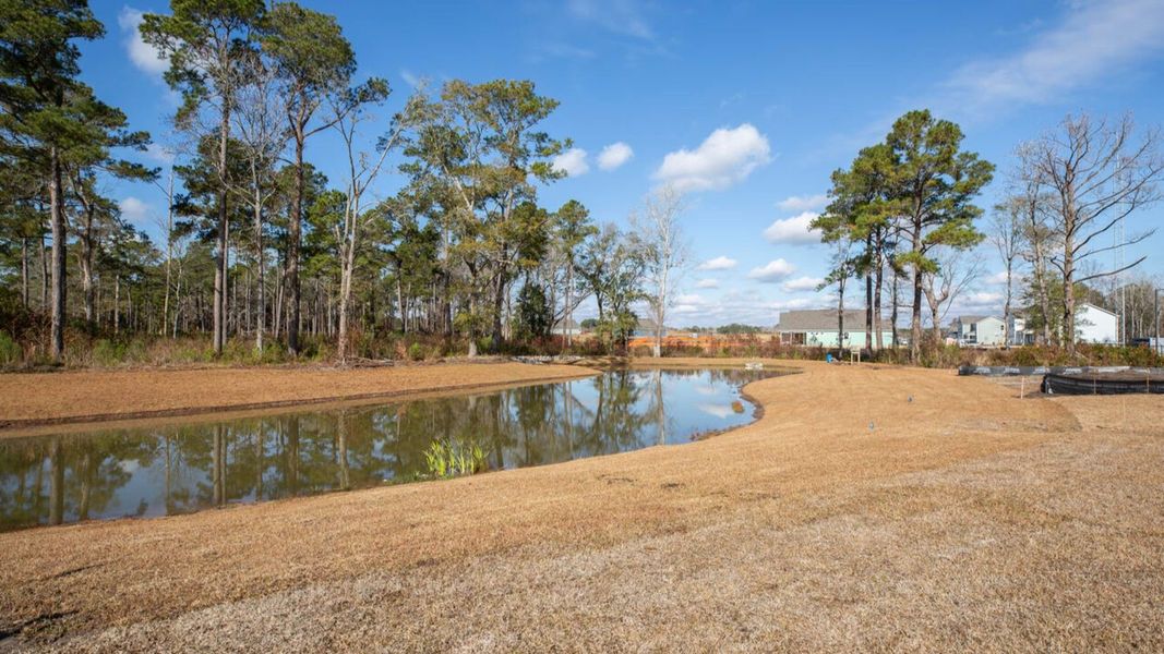 Natural landscape and outdoor views near Rolling Hills in Bolivia (Image 35).