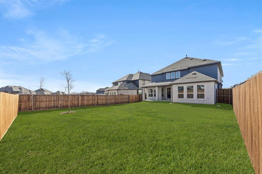 27. 13709 Riola - Back (2)