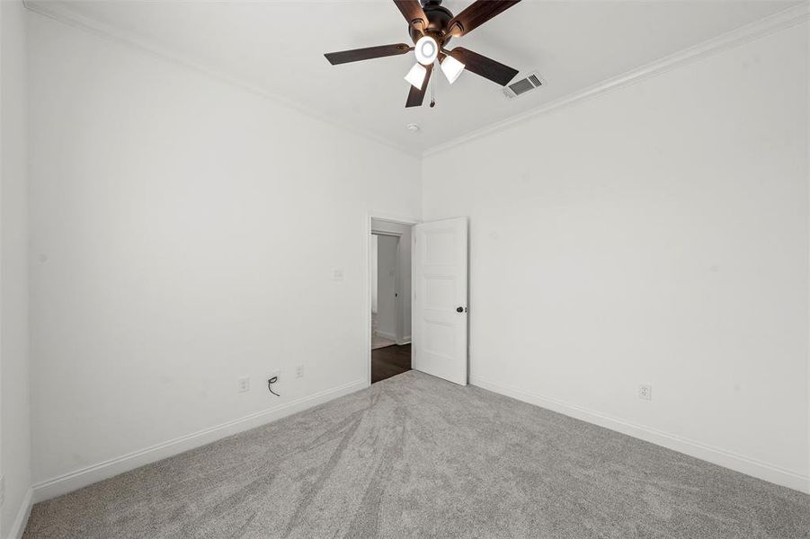 Spare room featuring carpet flooring, ornamental molding, and ceiling fan Spare room featuring carpet flooring, ornamental molding, and ceiling fan