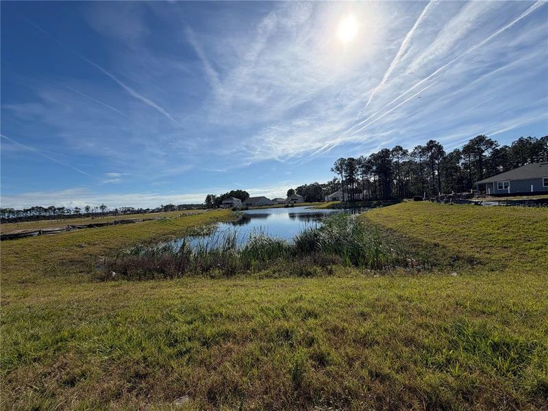Natural landscape and outdoor views near The Cypress Series at Reserve East in Flagler Beach (Image 35).