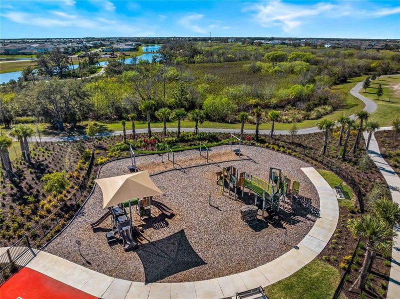 Community amenities in Star Farms at Lakewood Ranch, Bradenton (Image 61).