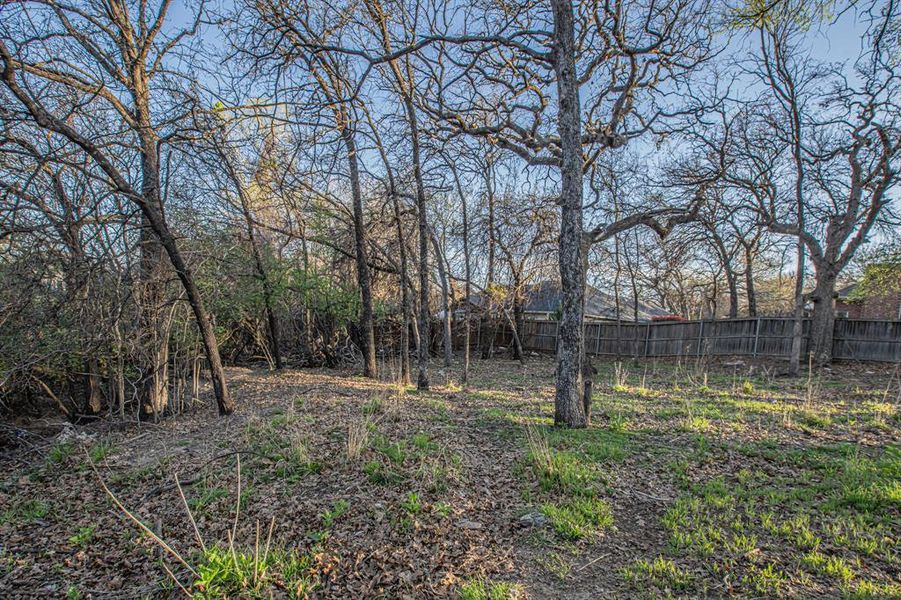 Natural landscape and outdoor views near  in Azle (Image 35).
